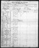 New York Passenger Lists, 1820-1891 398 - 4 May 1875-26 Jun 1875 