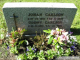 Johan & Oddny J Carlson